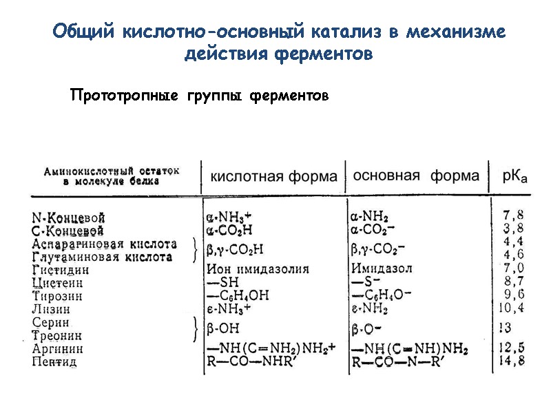 Общий кислотно-основный катализ в механизме действия ферментов Прототропные группы ферментов